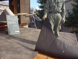防水シートはがし